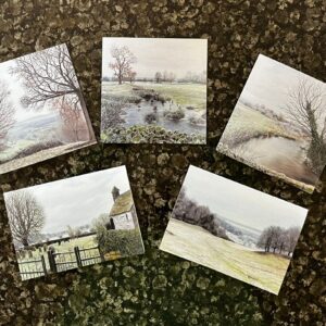 Greeting Card - Mixed Pack of 6