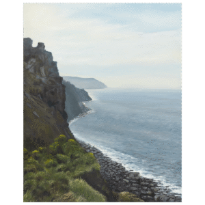 Coast Path Valley of the Rocks