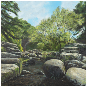 East Webburn River, Widecombe