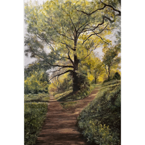 Yellow Wood, Killerton NT